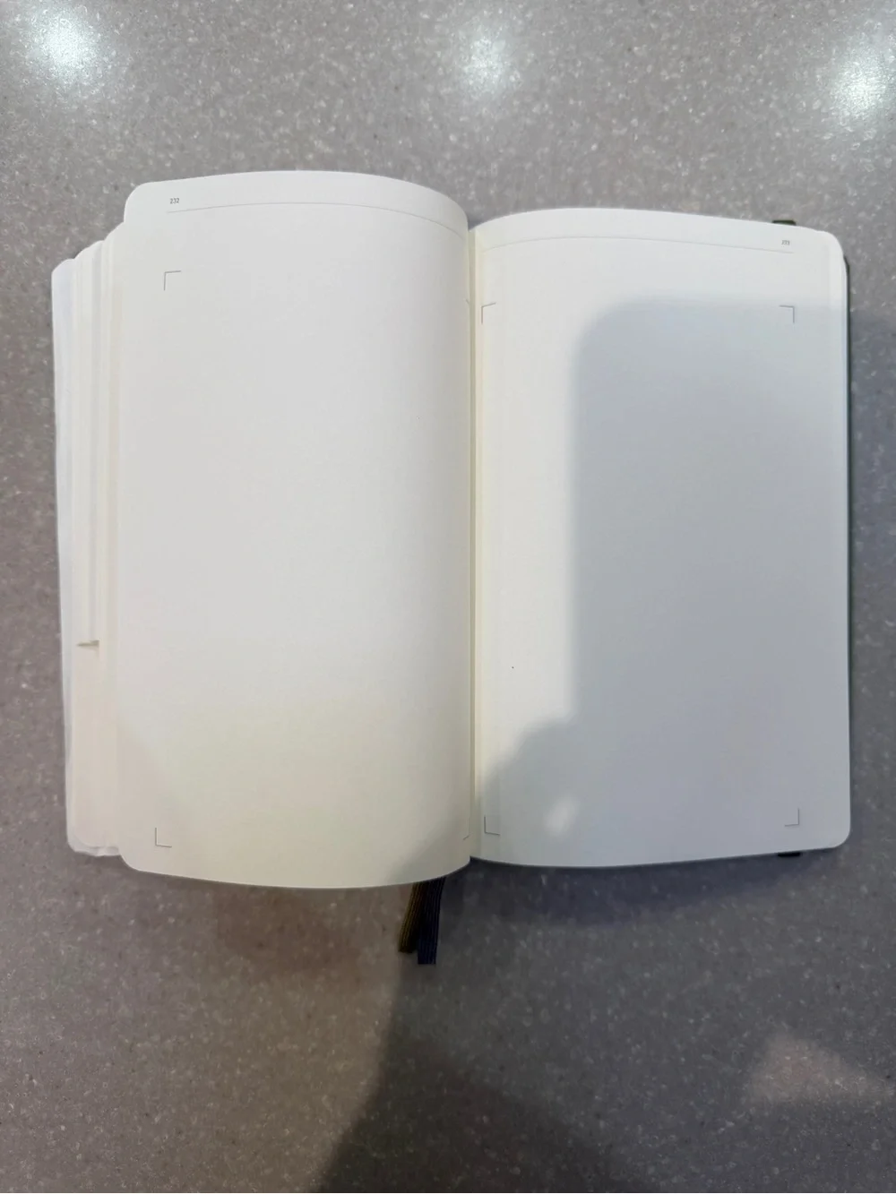 Moleskine Traveller’s Journal In Green